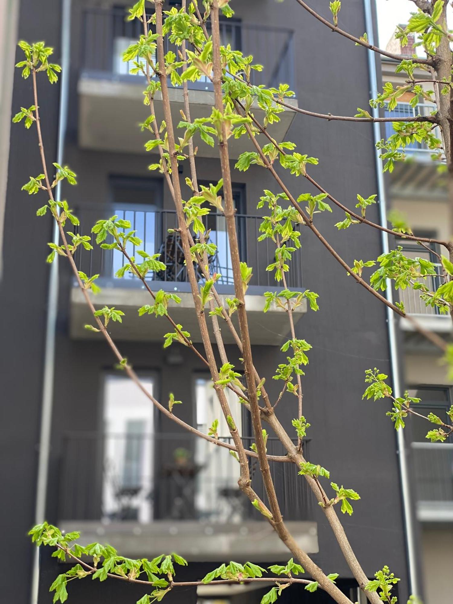 ארפורט Eiwelhome - Stilvoll, Urban-Ruhig Schlafen, Bahnhofsnah, Balkon מראה חיצוני תמונה